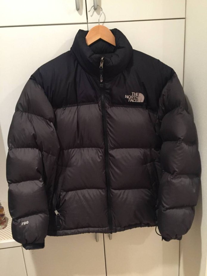 The North face 700 down Jacket