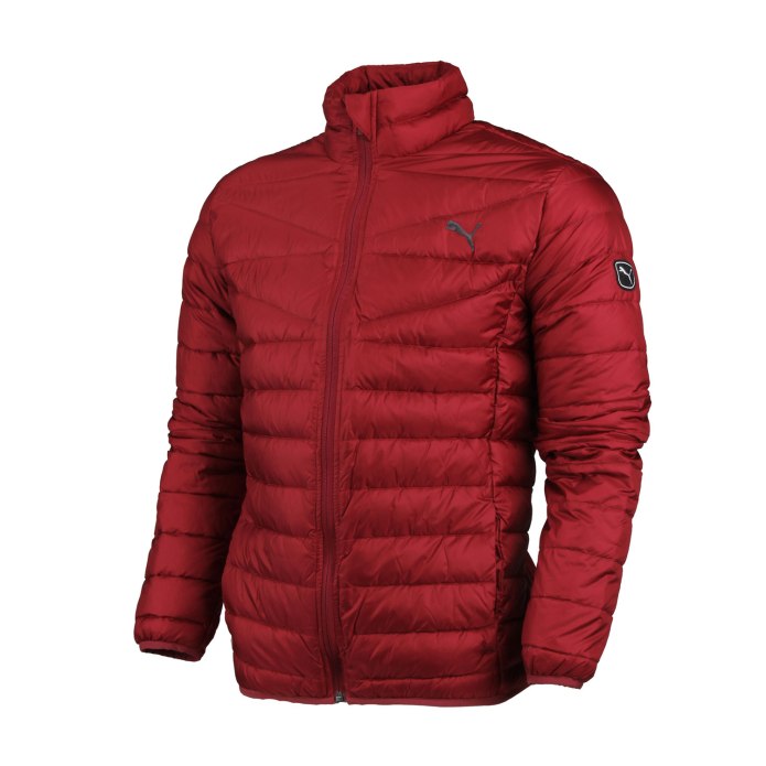 Куртка Icepeak 250106811iv365