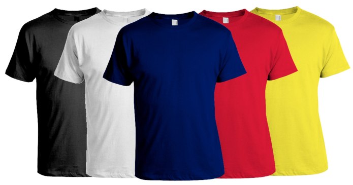 Champion Reversible Jersey