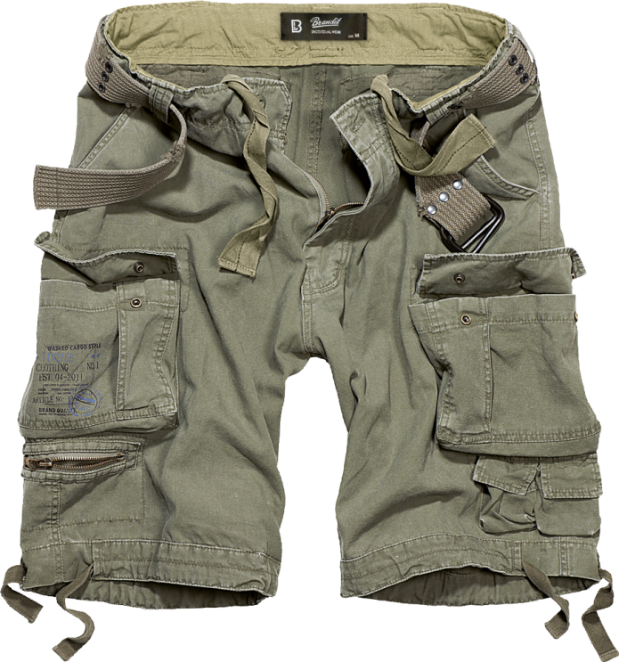 Nike SB Cargo shorts