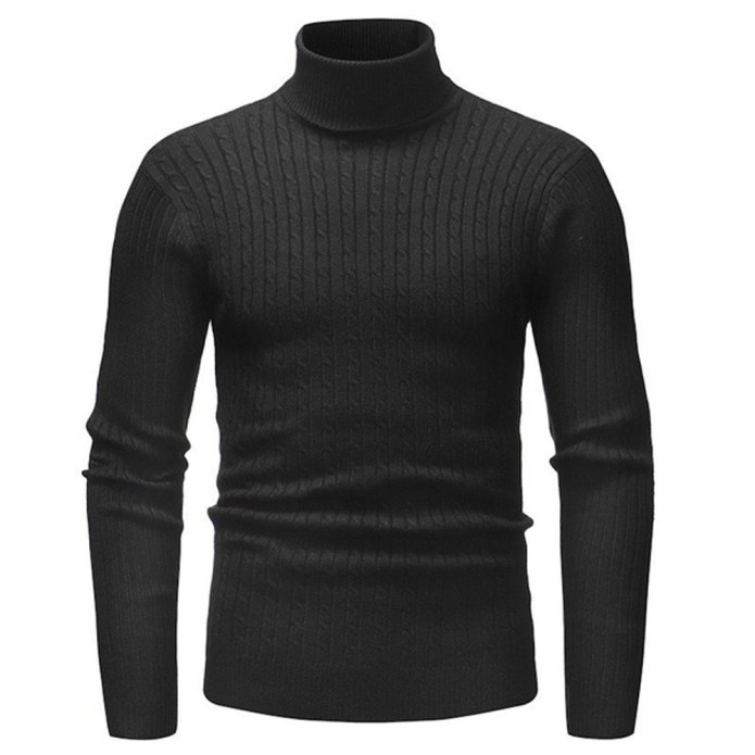 Водолазка Roll Neck Jumper мужские