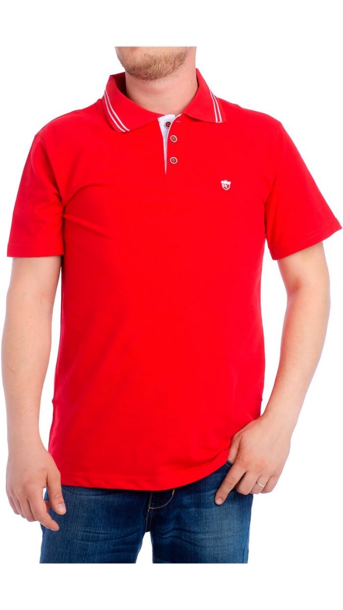 Polo Tshirt for man