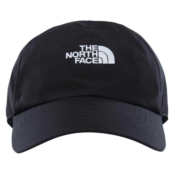 Кепка the North face черная