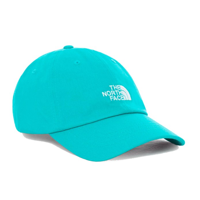 Черная кепка the North face Norm