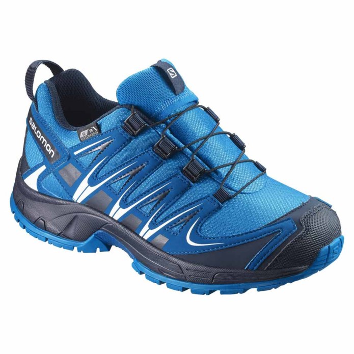 Salomon xa Pro 3d