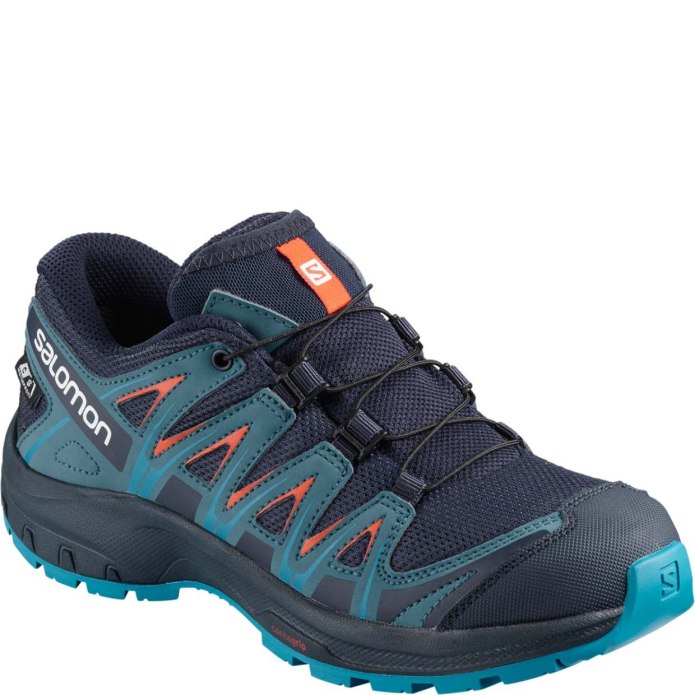 Salomon xa Pro 3d GTX