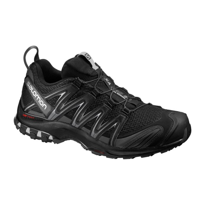 Salomon xa Pro 3d GTX