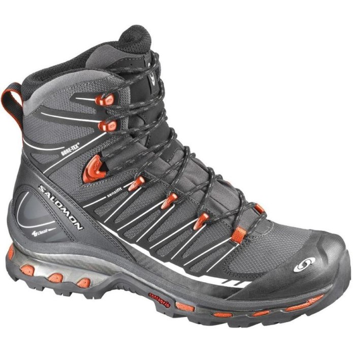 Ботинки мужские Salomon Cosmic 4d 2 GTX M