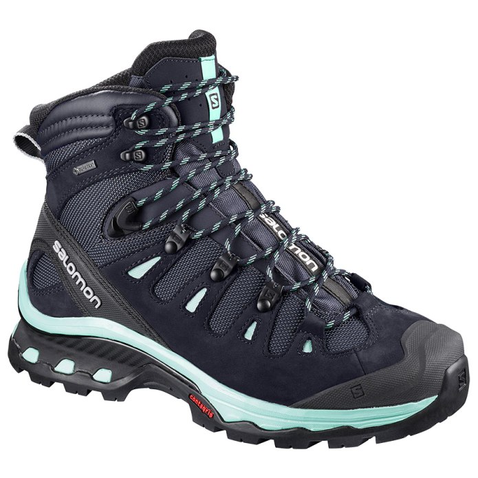 Salomon Quest 4d 3 GTX