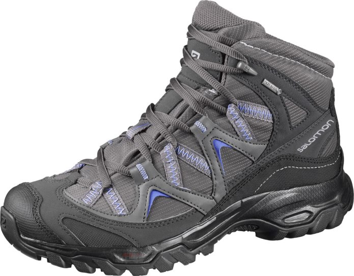 Salomon Mid GTX