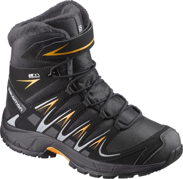 Ботинки Salomon xa Pro