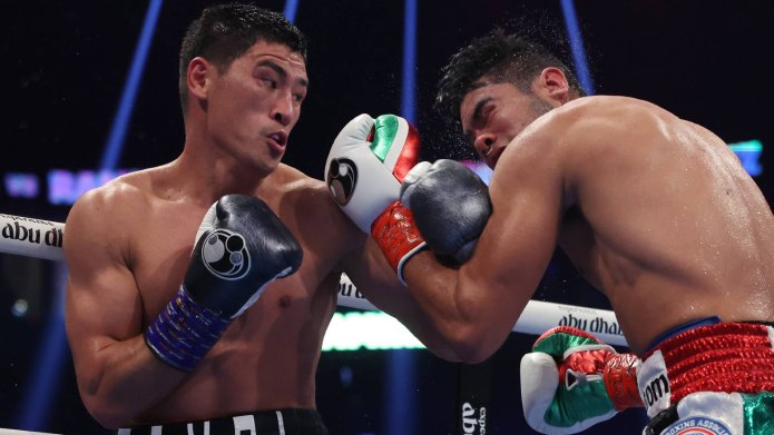 Боксер мужчина