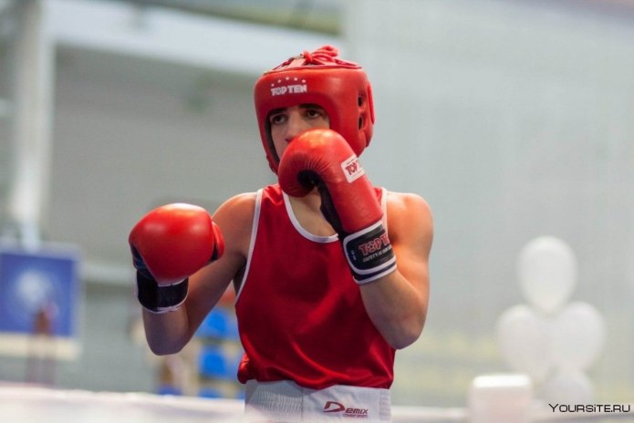 Боксер бокс