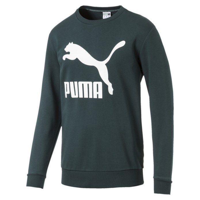 Puma big logo Hoody FL