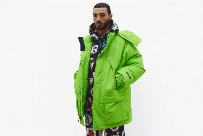 The North face x Supreme Leather 700 Nuptse Jacket