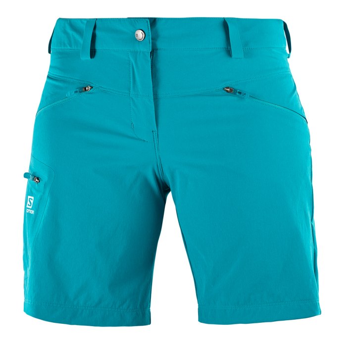 Шорты Salomon Wayfarer