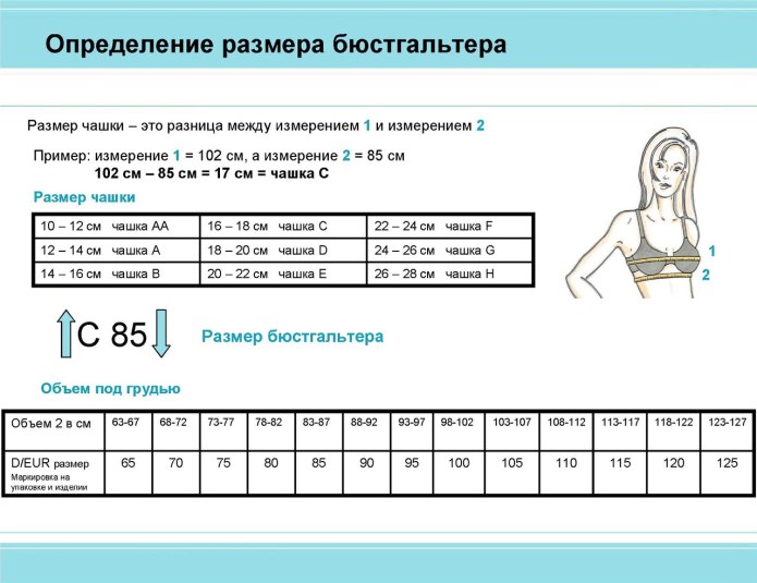 Размерная таблица бюстгальтеров чашечек