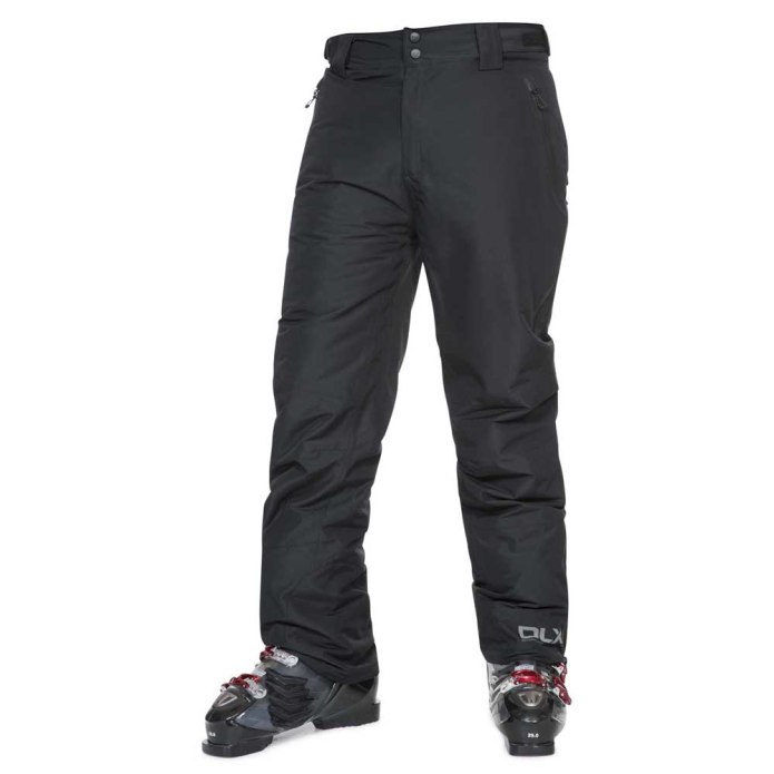 Брюки Salomon Icemania