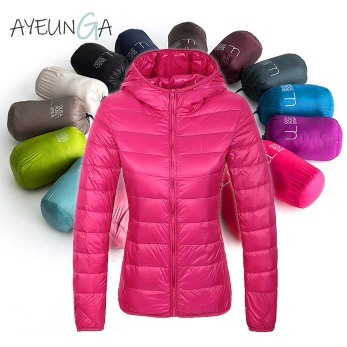 Mountain Hardwear Ghost Whisperer Hooded down Jacket