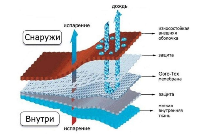 Мембранная ткань сенатор