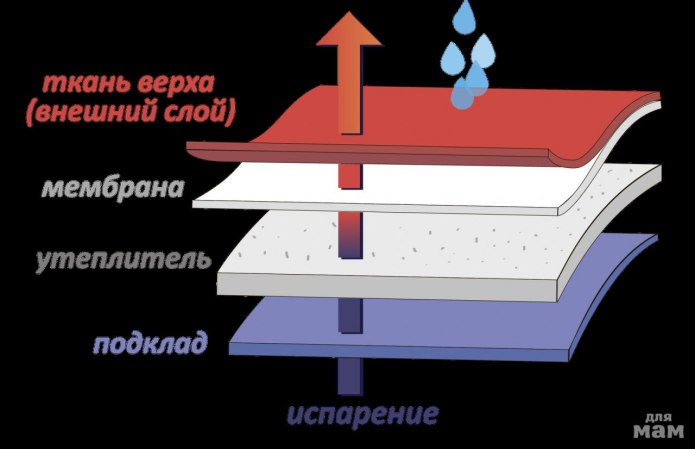 Как работает мембрана