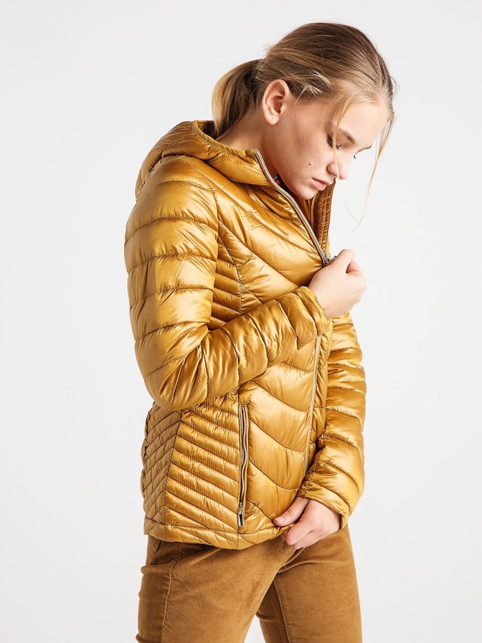 Nike Metallic down Jacket