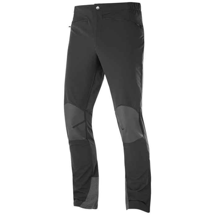 Брюки мужские Salomon Wayfarer Pant m