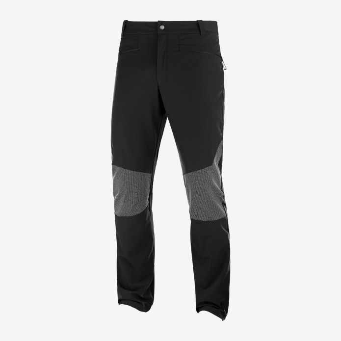 Брюки Salomon Wayfarer Alpine Pant m