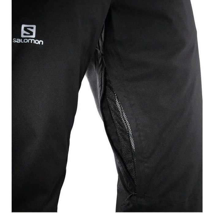 Salomon штаны зимние мужские