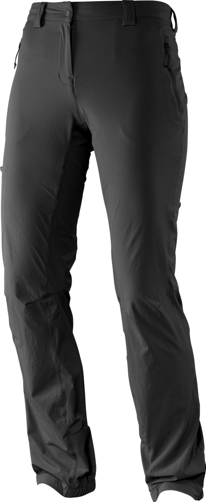Брюки Salomon Wayfarer