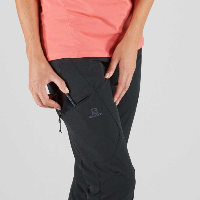 Брюки Salomon Wayfarer Str Pant