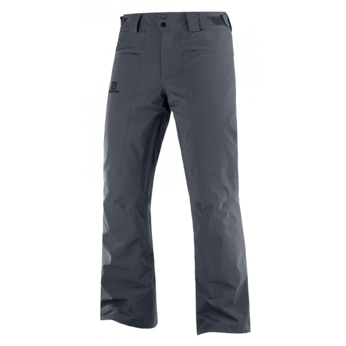 Salomon Wayfarer. Мужские брюки
