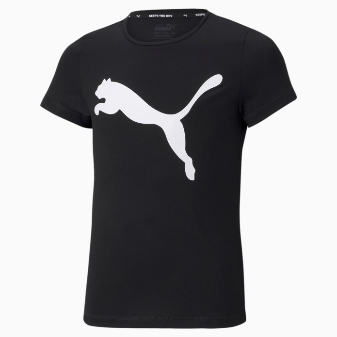 Teamgoal 23 Sideline Polo Puma Red-Chili