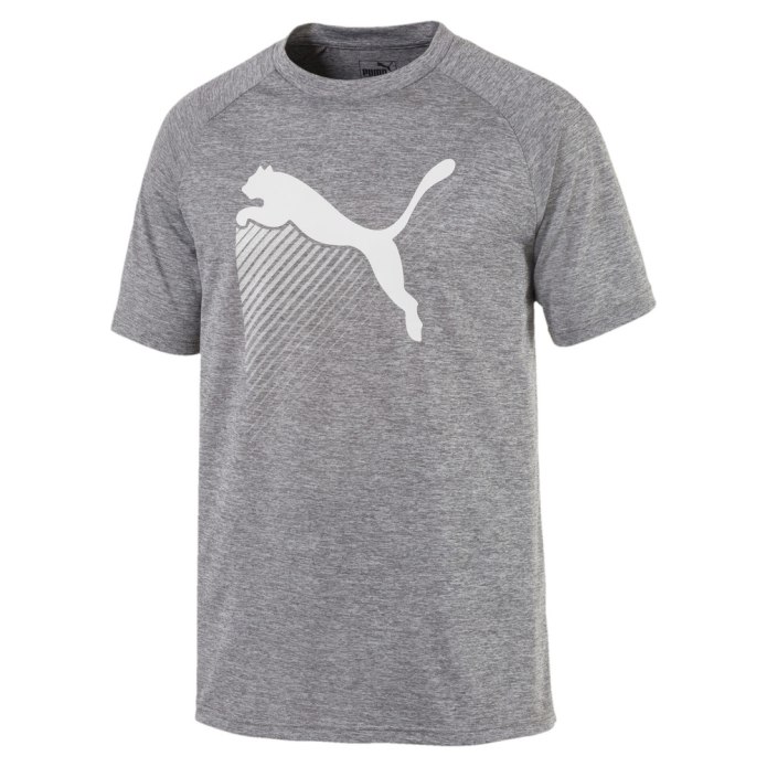 Футболка big logo men's Tee Puma