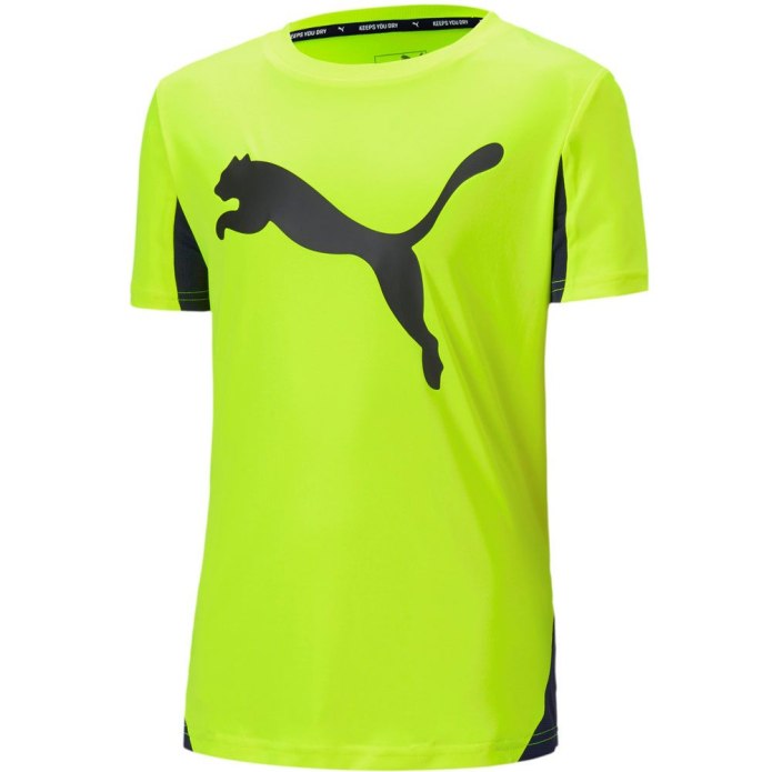 Puma / футболка franchise SS Tee 530511_01
