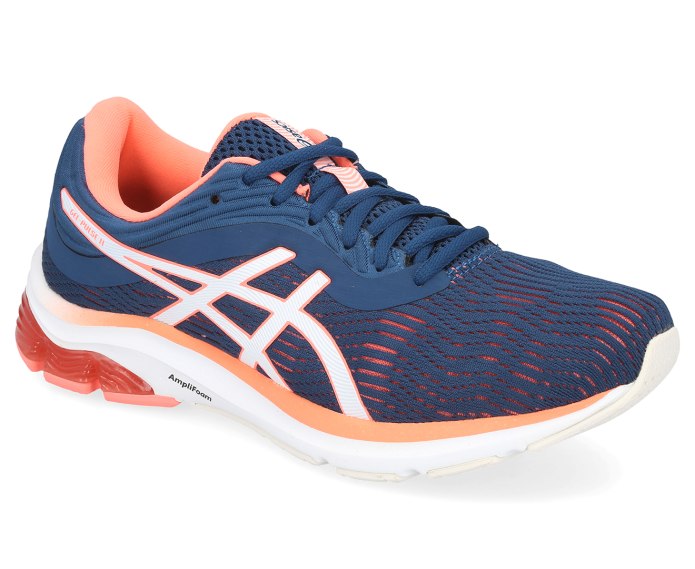 ASICS delegation ex