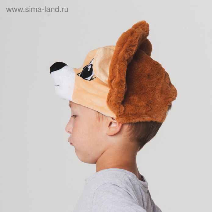 Лев в шапке