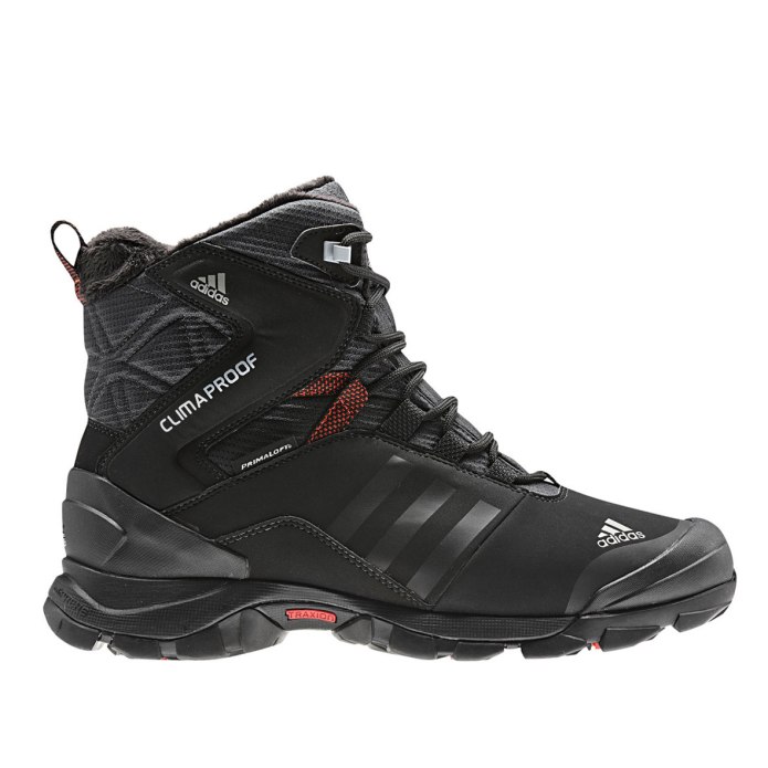 Ботинки adidas Winter Hiker