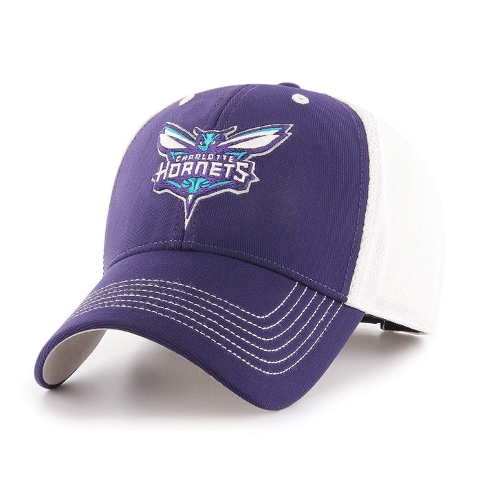 Бейсболка NBA Charlotte Hornets