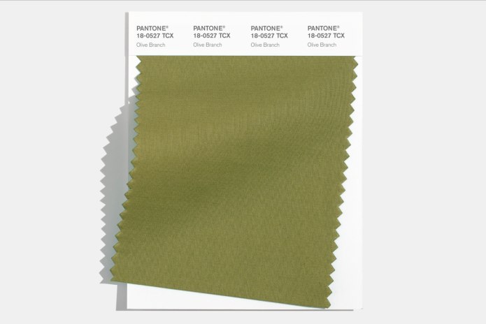Цвет Military Olive Pantone