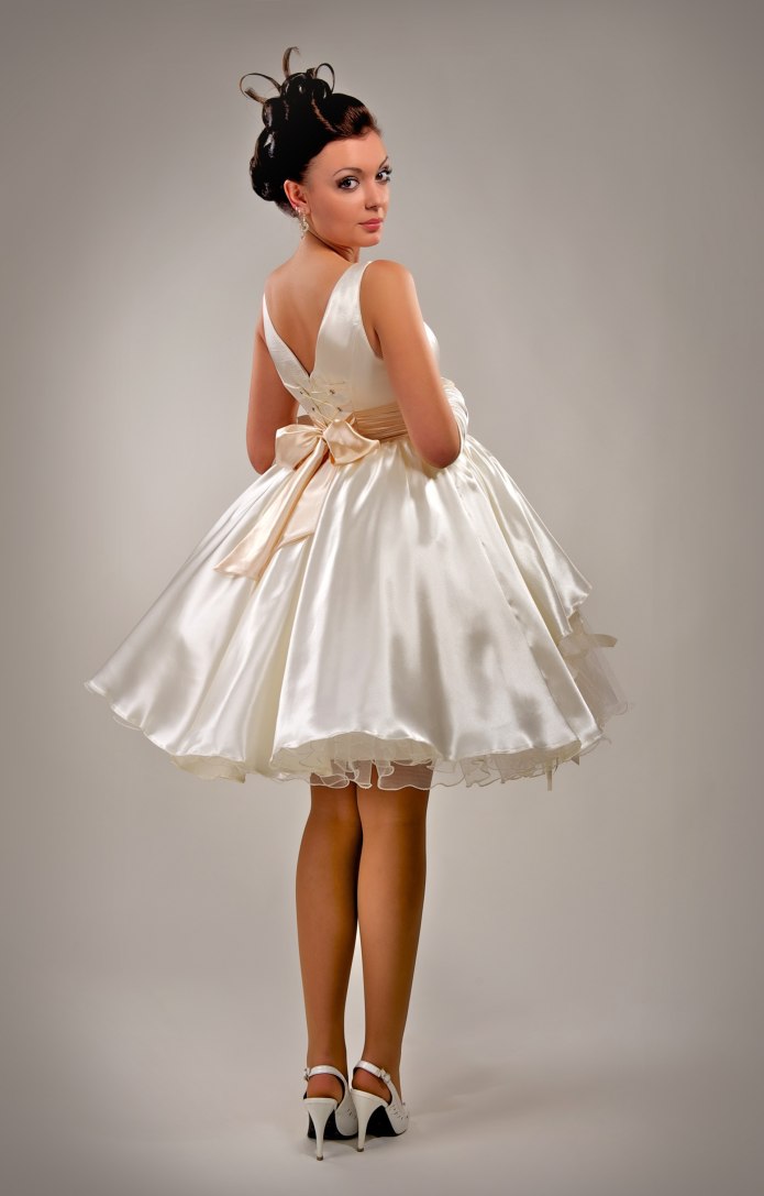Ball Gown Dress 1860