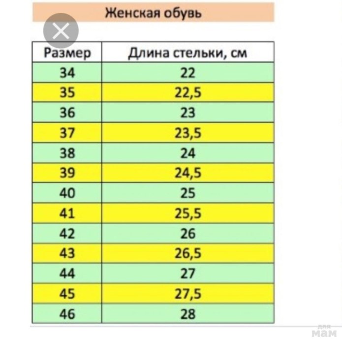 Размер стельки 41,5