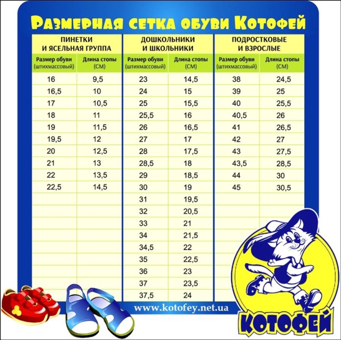 Размер стельки 43 размера обуви