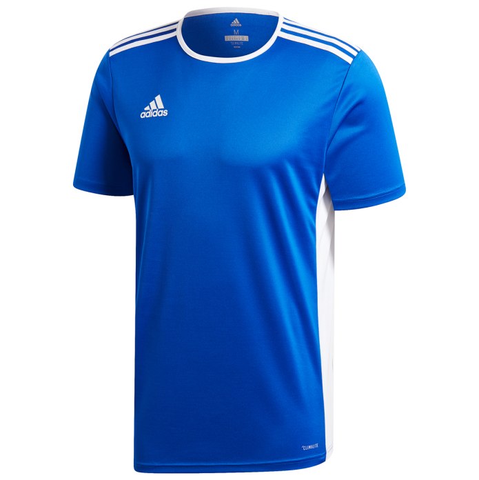 Adidas core18 Tee