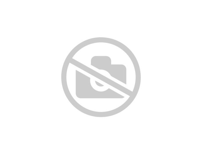 Термобелье Guahoo Laplandic professional кальсоны черный