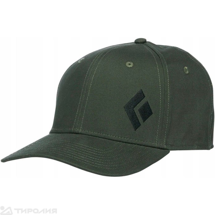 Бейсболка DC Shoes snapdripp
