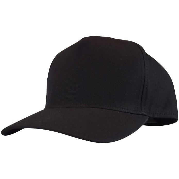 Бейсболка Робби hats черный 54