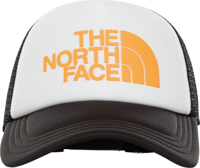 Черная бейсболка the North face Horizon