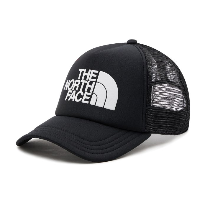 Кепка ушанка North face