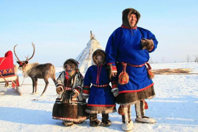 Жители Арктики